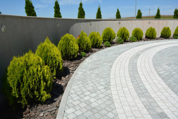 Best Best Driveway Pavers  in Canyon, TX